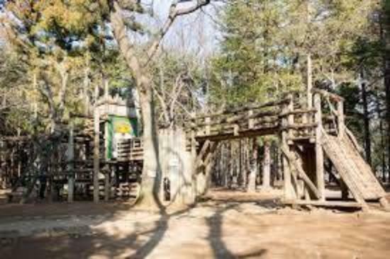 平塚公園 ご家族でお散歩に！緑あふれる公園は山へ散策に来た気分に！木の香りがして癒されます！テニスコートもあります。