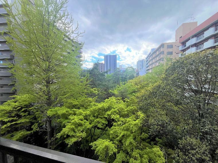 西側バルコニ＾からの眺望、隣地「仙台市青葉区茶室・緑水庵」の緑が広がります