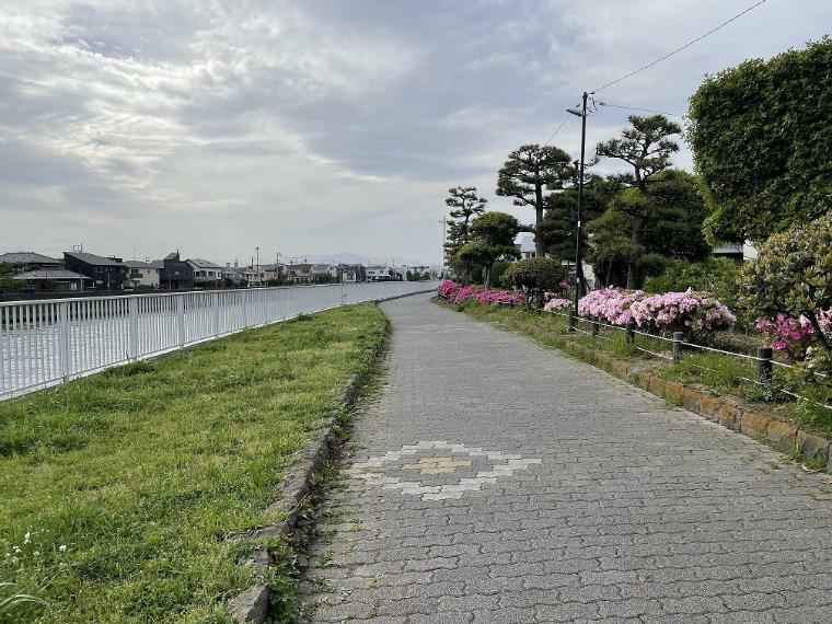 堺川横の遊歩道（徒歩約7分/540m）