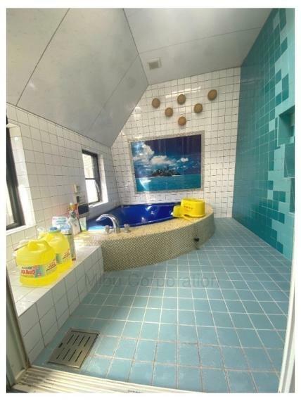 銭湯のような遊び心のある浴室です。ジェットバス付きです。