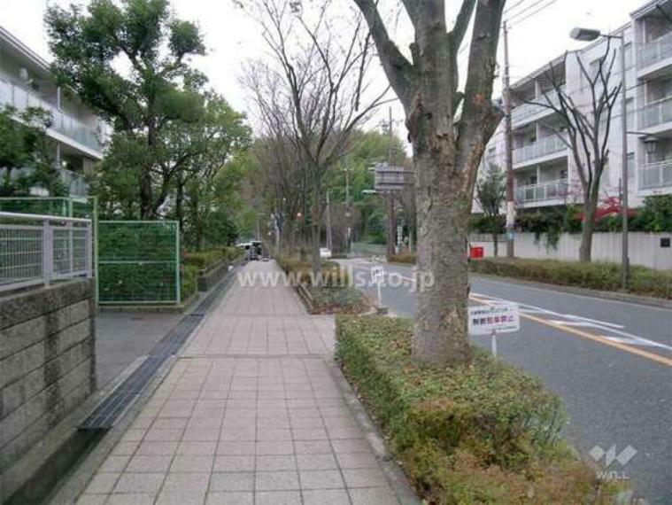 【前面道路】前面道路は街路樹のきれいなバス通りで、歩道もしっかりと整備されております。