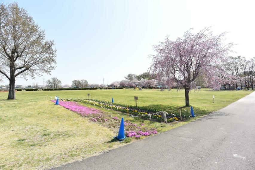 上奥富運動公園 現地から徒歩3分の上奥富運動公園。春の季節は桜がキレイです。毎日の散歩や、お子様の遊び、犬の散歩など用途多彩です。他にも野球場・ラジコンサーキット・多目的グラウンドもあります