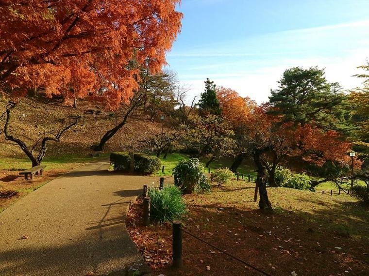 大倉山公園（園内には梅林があり、梅の名所として知られている公園。毎年早春になると大勢の観梅客が訪れて賑わっています。桜や新緑など、四季折々の違った彩りを楽しめる公園です。）