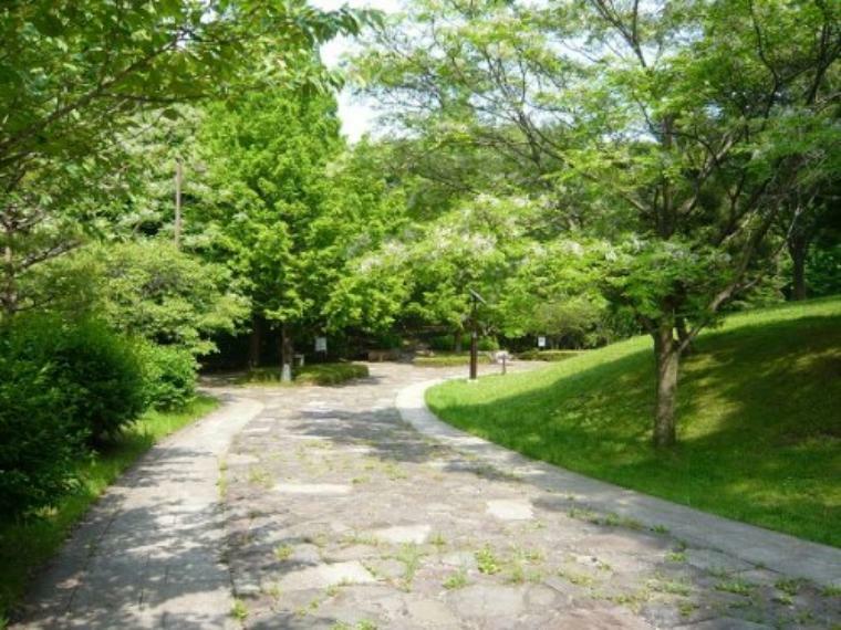 【公園】桜ヶ丘公園まで370m
