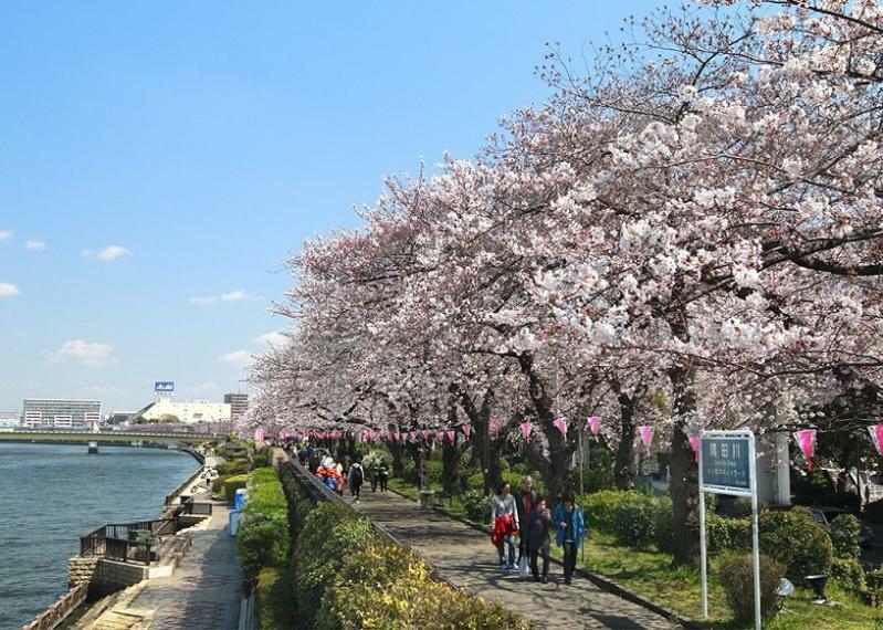 徒歩圏内に隅田川があり、水辺や公園が整備され、都心にいながら自然を身近に感じられます！