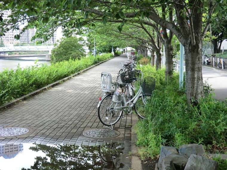 周辺環境:新川公園