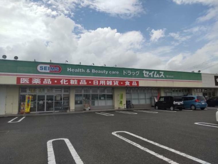 【周辺写真】ドラックストアセイムス東串良店まで約2400m（車で約5分）（徒歩で約33分）です。