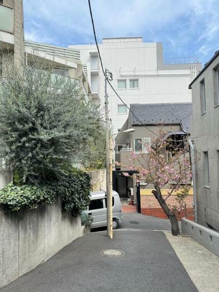 前面道路含む現地千代通りから住宅街に入った閑静なエリア。代々木駅から南新宿駅・参宮橋駅も利用可能です。