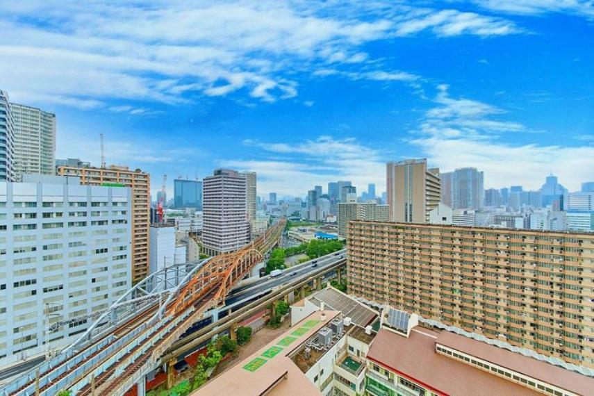 東京都心を望む眺望。