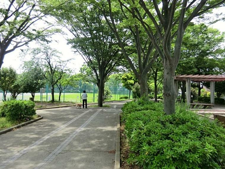 六浦大道公園（住宅街の中の緑に囲まれた広々とした公園です。スポーツができるグラウンドと遊具や広場があります。）