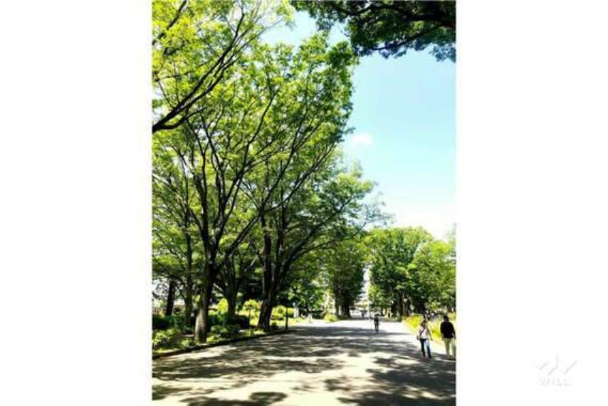 駒沢オリンピック公園（売主様提供）。緑豊かな広々とした敷地でお散歩やランニングを楽しんでいただけます。ドッグランもございます。周辺にはレストランやカフェが充実しており休日のお出かけにおすすめです。