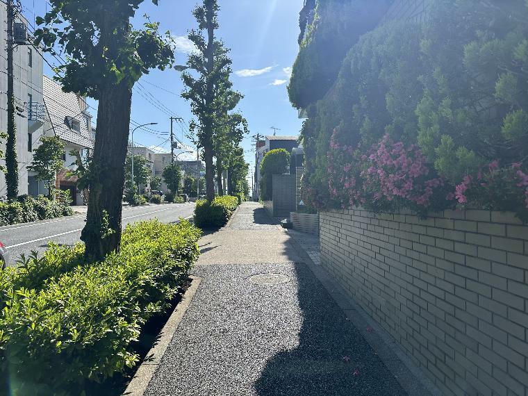 道路の植栽が豊かな前面道路