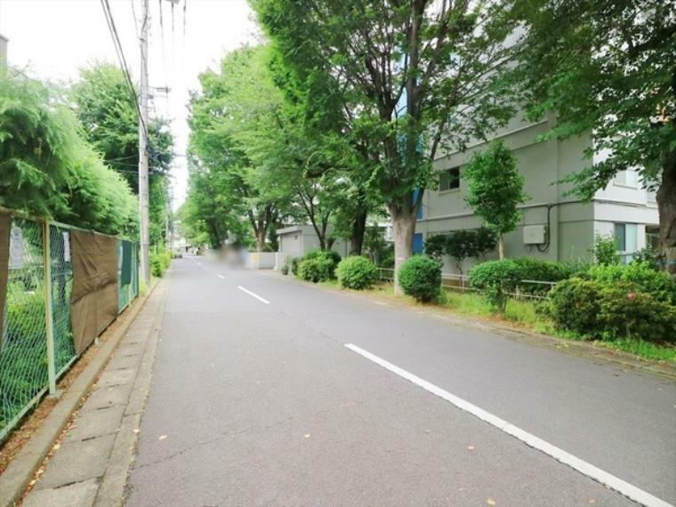 緑が気持ちの良い前面道路の様子