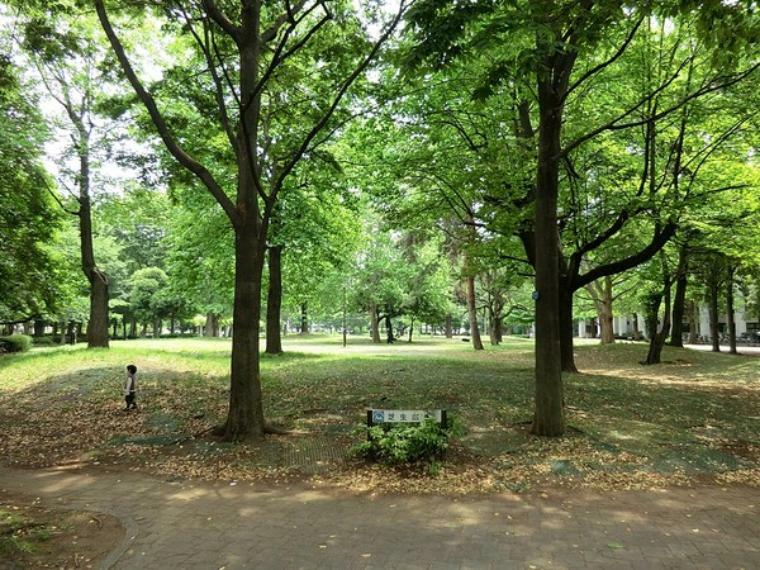 周辺環境:戸山公園