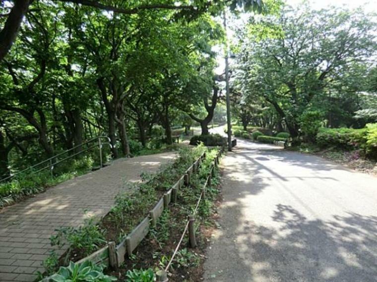 横浜市役所 環境創造局 神の木公園