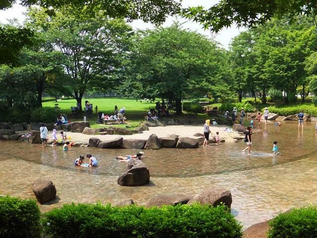 亀戸中央公園では水遊びもでき、小さなお子様も喜びますね！